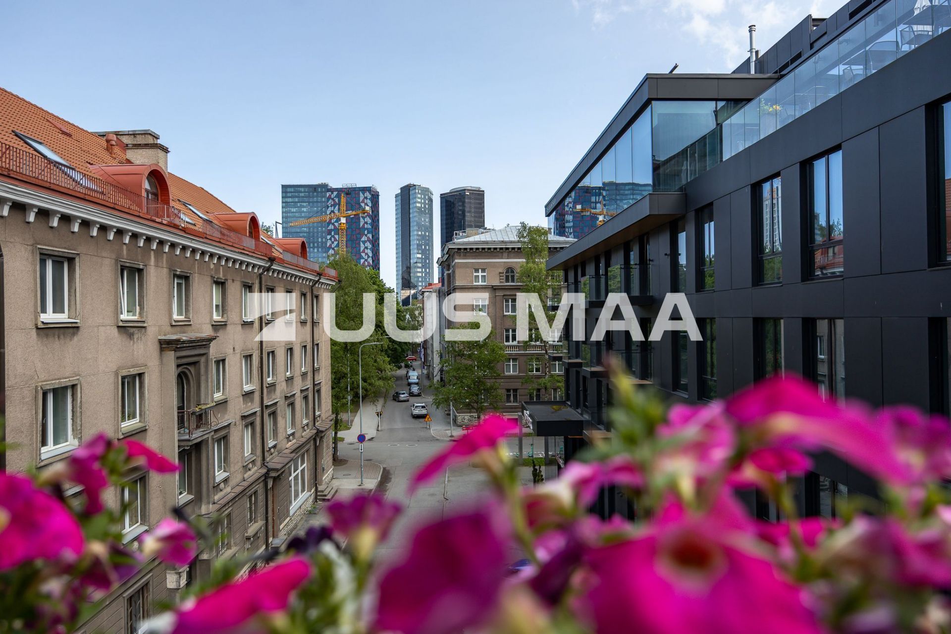 Uus Maa Pluss